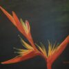 Kahti Wilson Bird of Paradise 14x18 $125