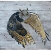 Keith Moore Eurasian Eagle-owl