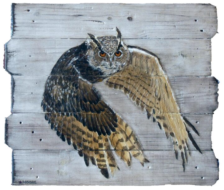 Keith Moore Eurasian Eagle-owl