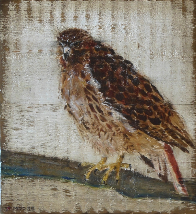 Keith Moore Red Tail Hawk 17x19