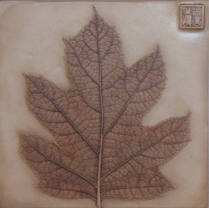 Dianne Cutler Oak Leaf Hydrangea 7x7