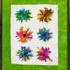 Flower Power by Amy Skinner