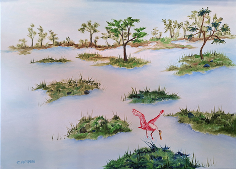 Morning Light by David Campbell